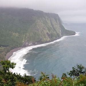 Meet your Posher, Luis